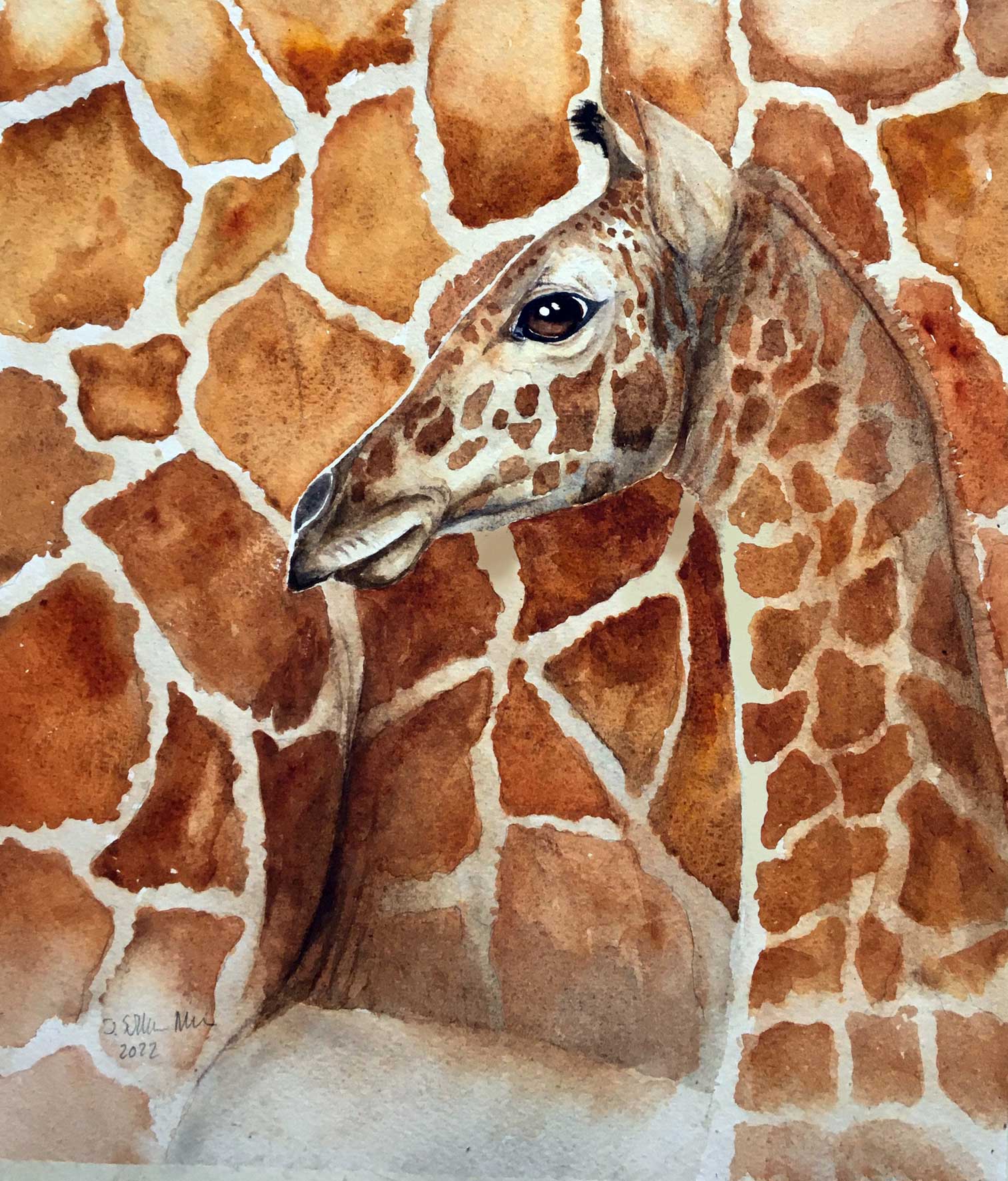 Giraffen Aquarell